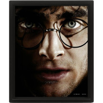 POSTER 3D HARRY POTTER...