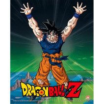 POSTER 3D DRAGON BALL Z...