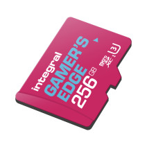 CARTE MICRO SDXC 256GB GAMING