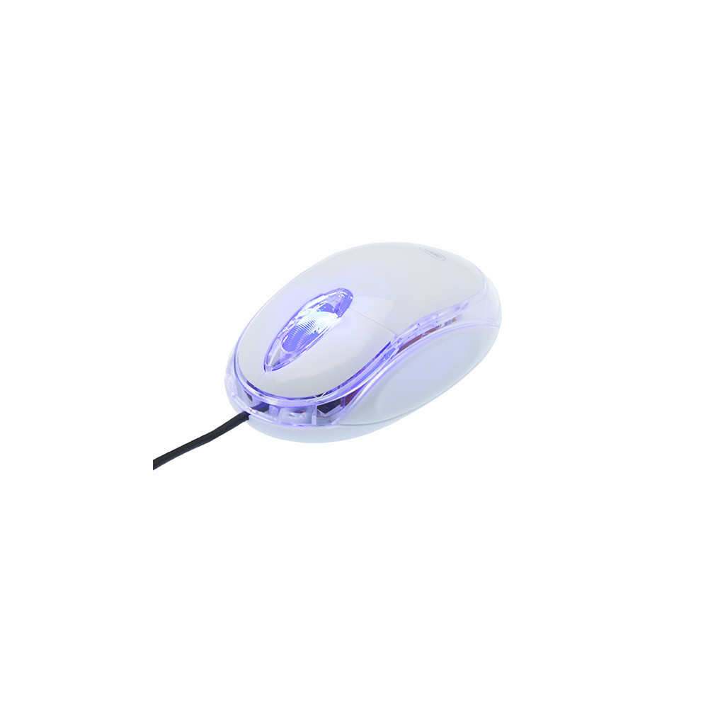 Souris optique sans fil 3 boutons USB Type C