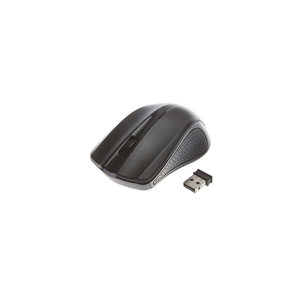 Souris Sans Fil En USB-C Noir & Gris