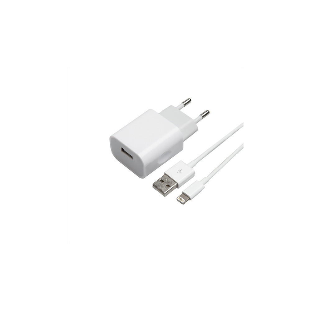 Prise chargeur USB 230V 1M alim 5V 1A blanc polaire 45x45mm ALTIRA