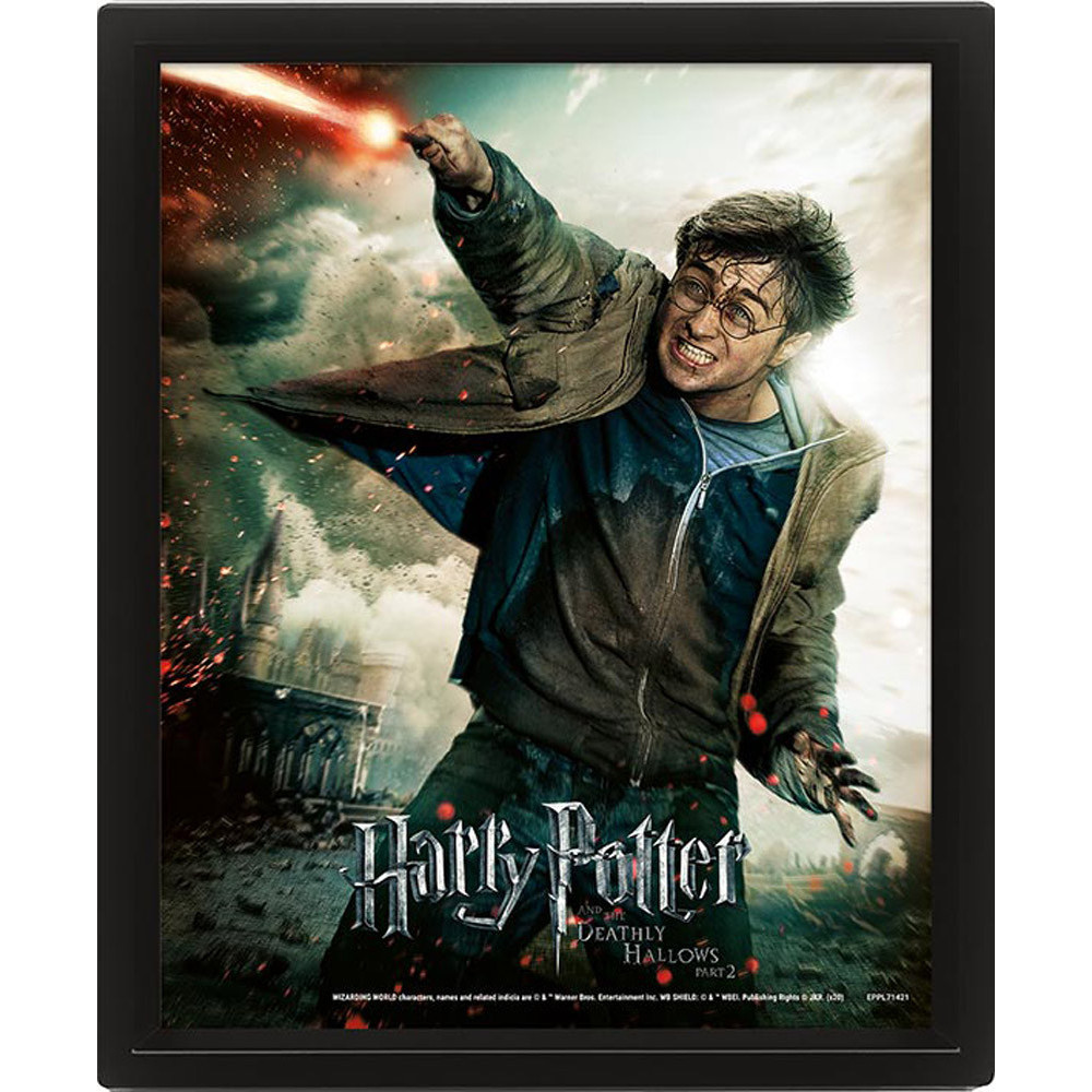 POSTER 3D HARRY POTTER (EXPELLIARMUS)