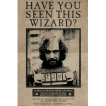 POSTER HARRY POTTER (WANTED...